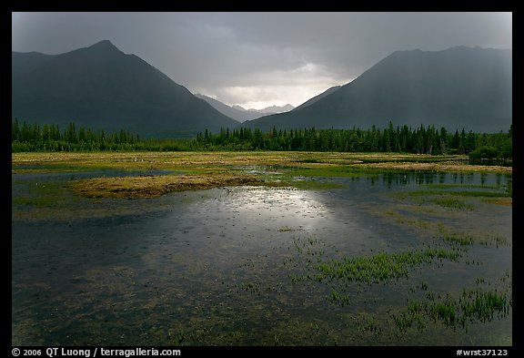 Storm light on lake. Wrangell-St Elias National Park, Alaska, USA.