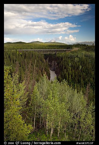Aspen, Kuskulana canyon and bridge. Wrangell-St Elias National Park (color)