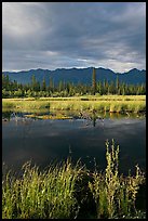 Pond, tundra and mountains. Wrangell-St Elias National Park, Alaska, USA.