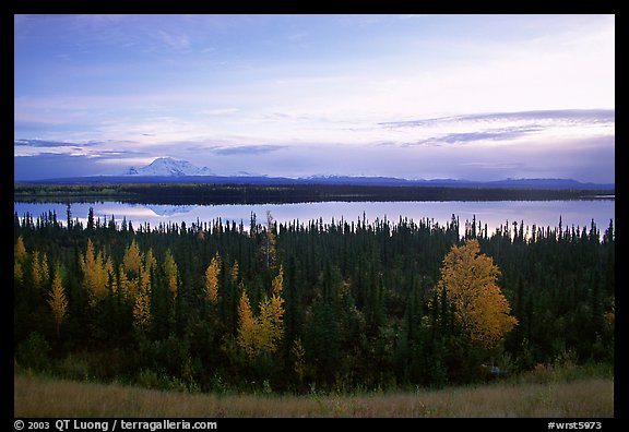 Mt Wrangell and Willow Lake, morning. Wrangell-St Elias National Park, Alaska, USA.