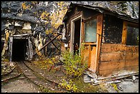 Abandonned cabins and mine entrance. Wrangell-St Elias National Park ( color)
