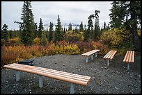 Amphitheater, Kendesnii campground. Wrangell-St Elias National Park, Alaska, USA.