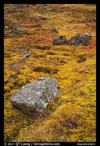 Rocks and tundra. Wrangell-St Elias National Park (color)