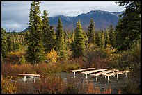 Amphitheater, Kendesnii campground. Wrangell-St Elias National Park, Alaska, USA.