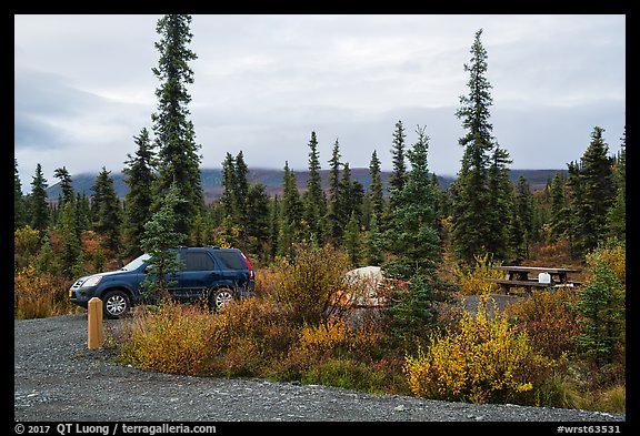 Kendesnii campground. Wrangell-St Elias National Park, Alaska, USA.