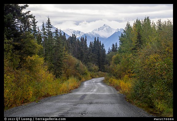 McCarthy Road in autumn and snowy peaks. Wrangell-St Elias National Park (color)