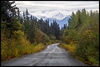 McCarthy Road in autumn and snowy peaks. Wrangell-St Elias National Park ( color)