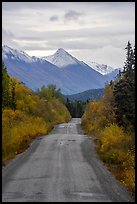 McCarthy Road in autumn and snowy mountain. Wrangell-St Elias National Park ( color)