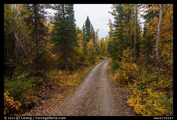 Old Wagon Road. Wrangell-St Elias National Park (color)