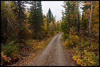Old Wagon Road. Wrangell-St Elias National Park ( color)