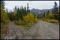 Old Wagon Road and new road. Wrangell-St Elias National Park ( color)