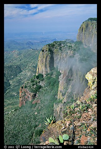 Cliffs and fog from South Rim, morning. Big Bend National Park, Texas, USA.