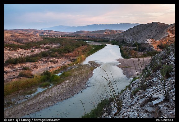 Ocotillo above Rio Grande River, sunset. Big Bend National Park (color)