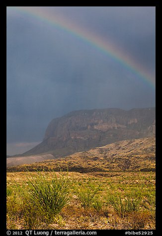 Rainbow over desert and Chisos Mountains. Big Bend National Park, Texas, USA.