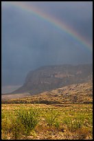 Rainbow over desert and Chisos Mountains. Big Bend National Park, Texas, USA. (color)