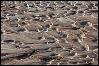 Close up of muds. Big Bend National Park, Texas, USA. (color)