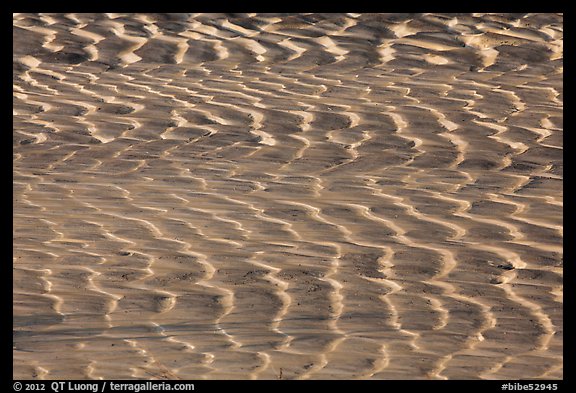 Mud flat close-up. Big Bend National Park, Texas, USA.