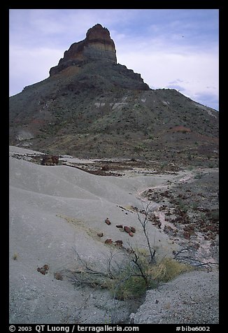 Volcanic tower near Tuff Canyon. Big Bend National Park (color)
