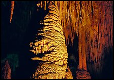 Large stalagmite column and thin stalagtites. Carlsbad Caverns National Park, New Mexico, USA.