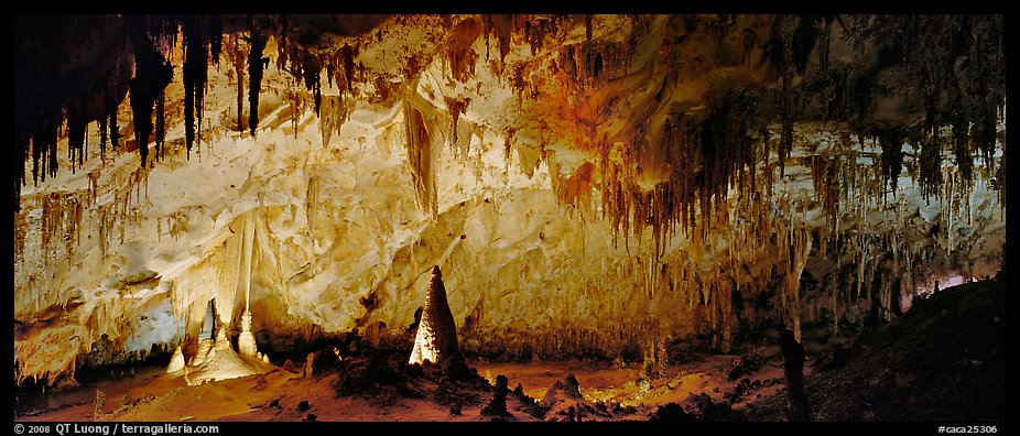 Delicate cave formations in Papoose Room. Carlsbad Caverns National Park (color)