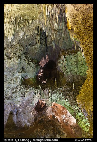 Lower Cave seen from jumping off place. Carlsbad Caverns National Park (color)