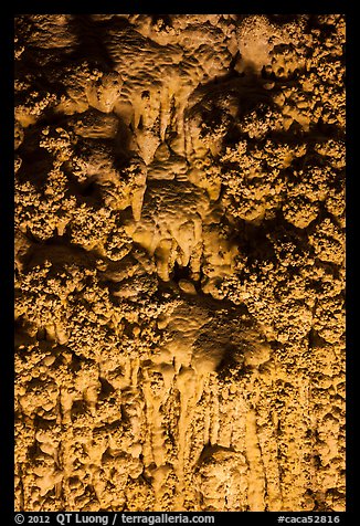 Cave popcorn detail. Carlsbad Caverns National Park, New Mexico, USA.