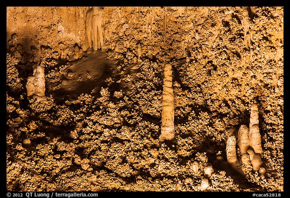 Stalagmite and cave popcorn. Carlsbad Caverns National Park, New Mexico, USA.