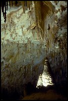 Delicate stalactites in Papoose Room. Carlsbad Caverns National Park, New Mexico, USA. (color)