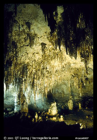 Fine Stalactites growing from ceiling of Papoose Room. Carlsbad Caverns National Park (color)