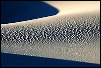 Sand patterns in Mesquite Sand dunes, early morning. Death Valley National Park ( color)