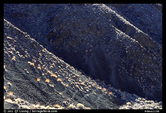 Hillsides and sagebrush. Death Valley National Park, California, USA.