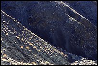 Hillsides and sagebrush. Death Valley National Park ( color)