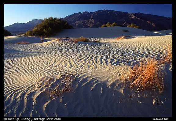 Mesquite Sand Dunes and Tucki mountain, early morning. Death Valley National Park (color)