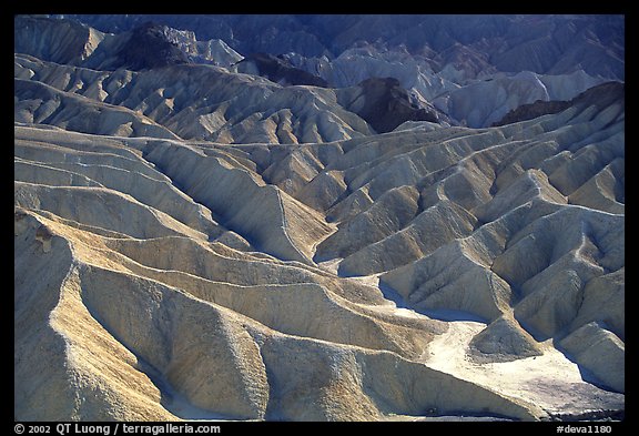 Eroded badlands near Zabriskie Point. Death Valley National Park, California, USA.