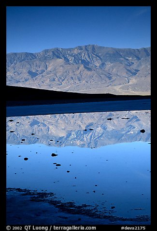 Panamint range reflected in pond at Badwater, early morning. Death Valley National Park, California, USA.