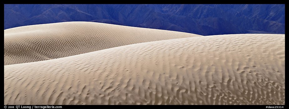 Shimering sand dunes. Death Valley National Park (color)