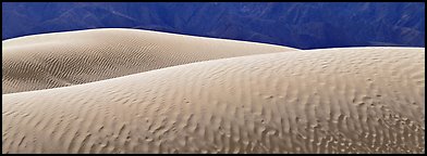 Shimering sand dunes. Death Valley National Park (Panoramic color)