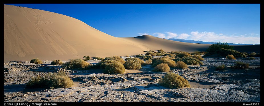 Desert landscape with mud slabs, bushes, and sand dunes. Death Valley National Park, California, USA.