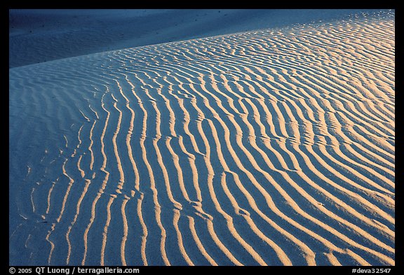 Sand ripples close-up, sunrise. Death Valley National Park, California, USA.