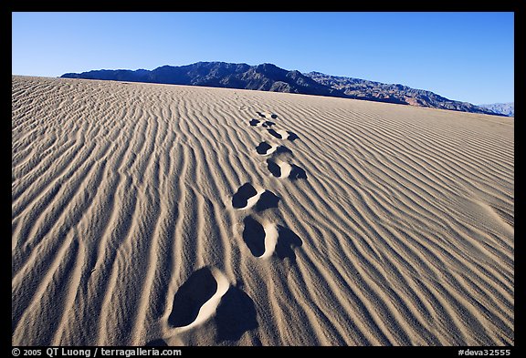 Footprints in the sand leading towards mountain. Death Valley National Park (color)