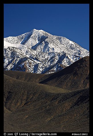 Telescope peak rising above sage-covered hills. Death Valley National Park (color)