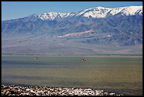 Kayakers in ephemeral Manly lake, and Panamint Range. Death Valley National Park, California, USA.