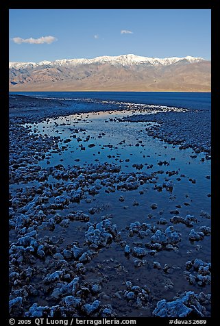 Salt pool and Panamint range, early morning. Death Valley National Park, California, USA.