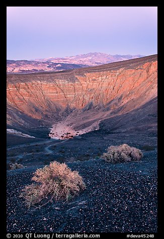 Sagebrush and Ubehebe Crater at dusk. Death Valley National Park, California, USA.