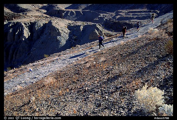 Hikers on slopes above side canyon. Death Valley National Park, California, USA.