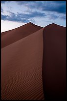 Dune ridges at sunset, Ibex Dunes. Death Valley National Park ( color)