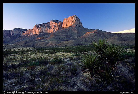 El capitan from Williams Ranch road, sunset. Guadalupe Mountains National Park (color)