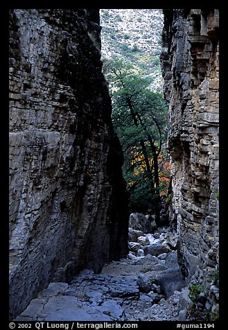Narrow passage between cliffs, Devil's Hall. Guadalupe Mountains National Park (color)