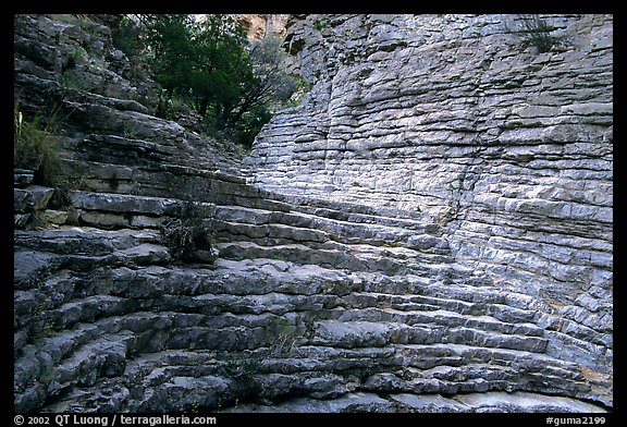 Hiker's Staircase, Pine Spring Canyon. Guadalupe Mountains National Park (color)