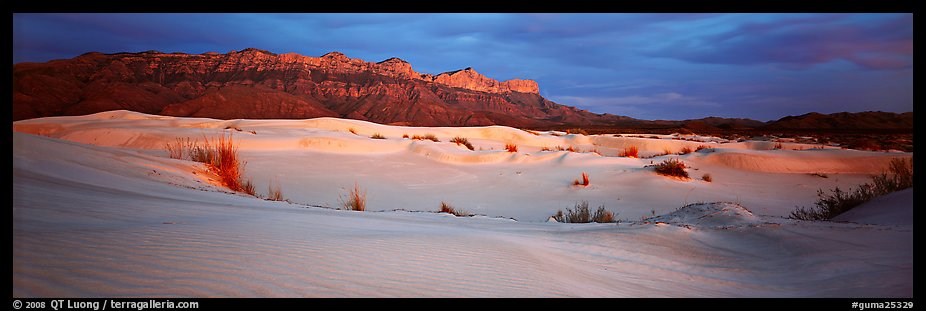 Salt Basin gypsum dunes and Guadalupe range. Guadalupe Mountains National Park, Texas, USA.